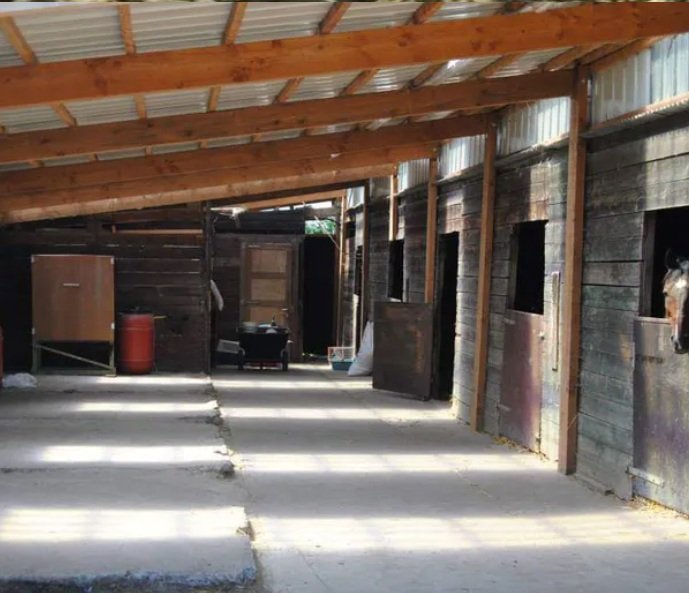 Création d'un site pour présenter l'écurie