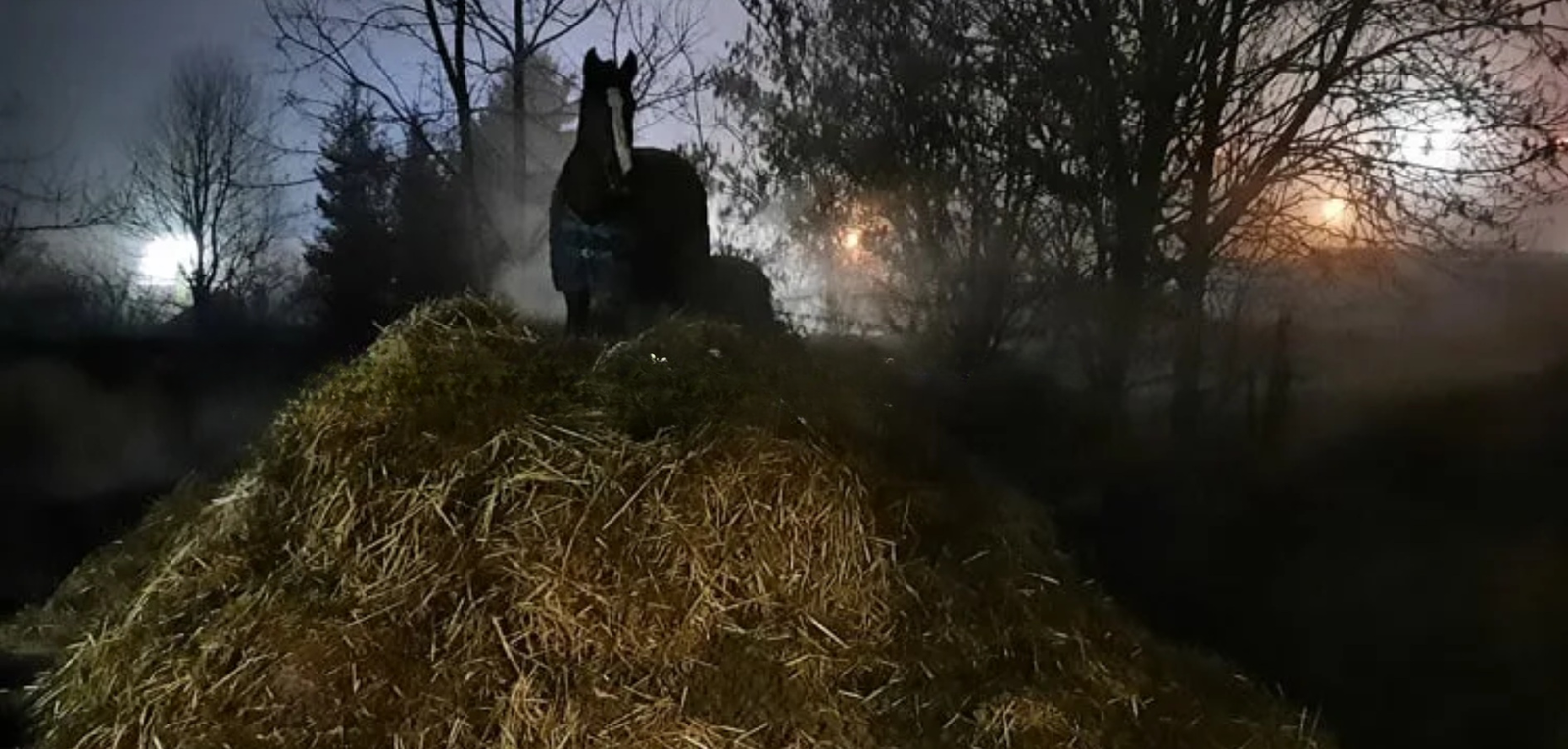 Nos événements en cours, à venir, ou à créer